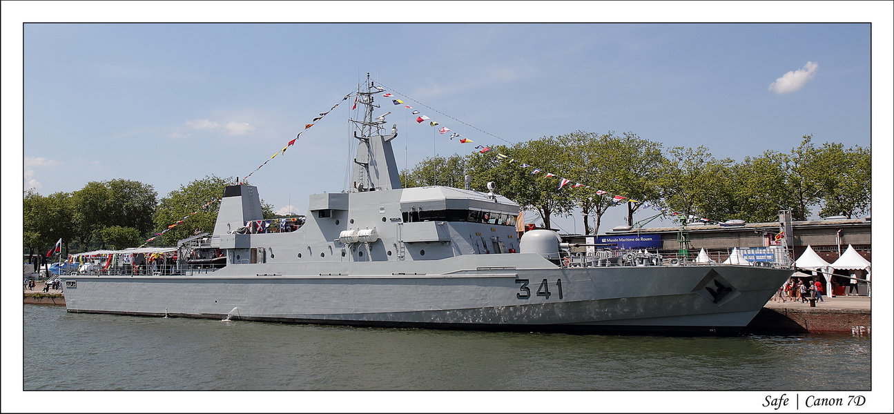 2013 - 06 - Armada Rouen 058